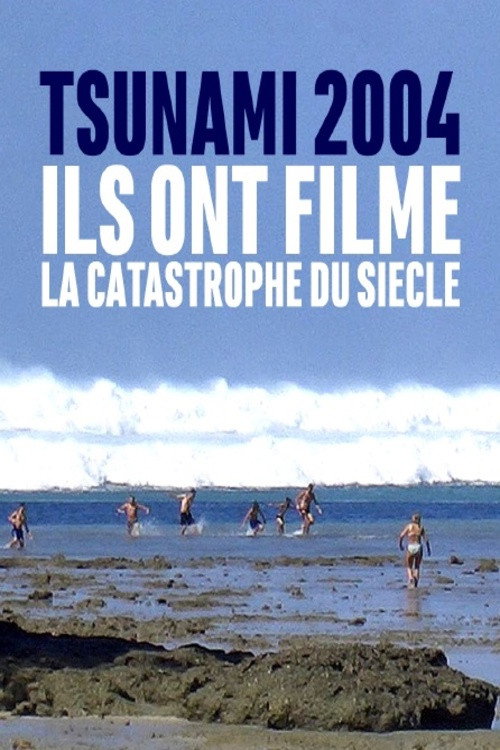 Tsunami 2004 : ils ont filmé la catastrophe du siècle poster