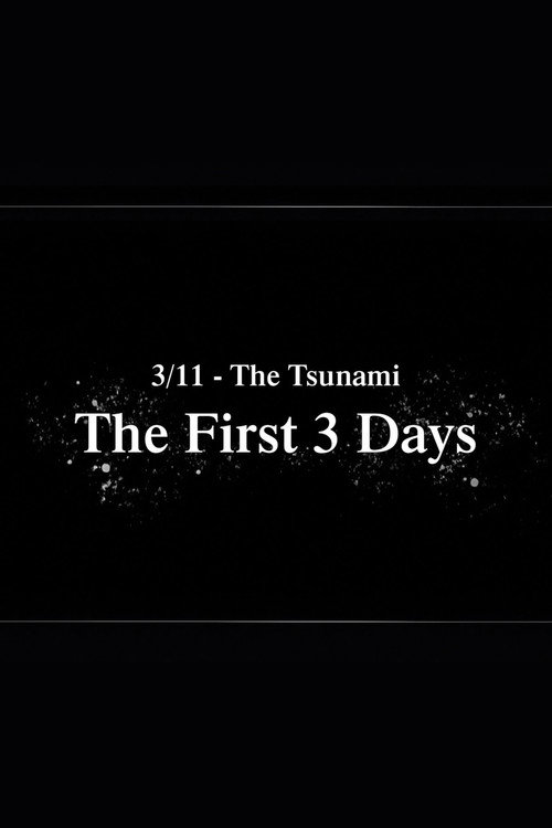 3/11 - The Tsunami: The First 3 Days poster