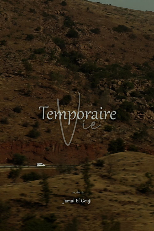 Temporaire Vie poster