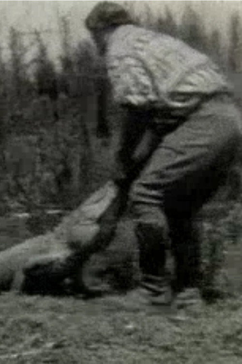 Scenes of the Everglades poster