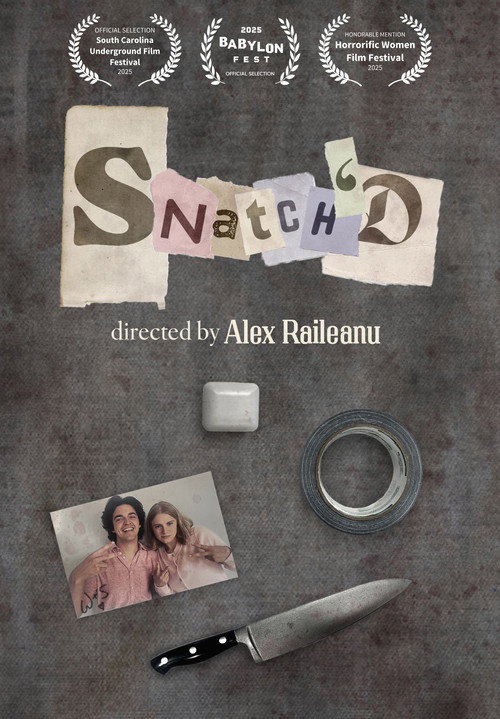 Snatch'D poster
