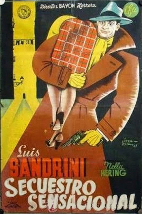 ¡Secuestro sensacional! poster