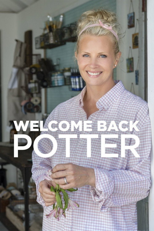 Welcome Back Potter poster