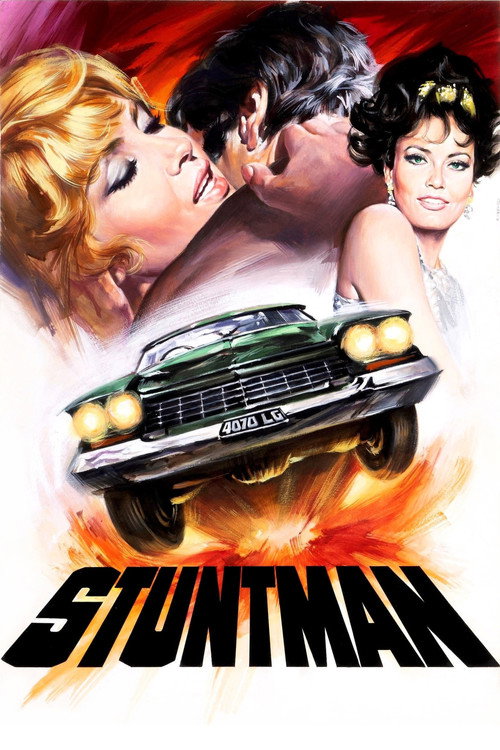 Stuntman poster