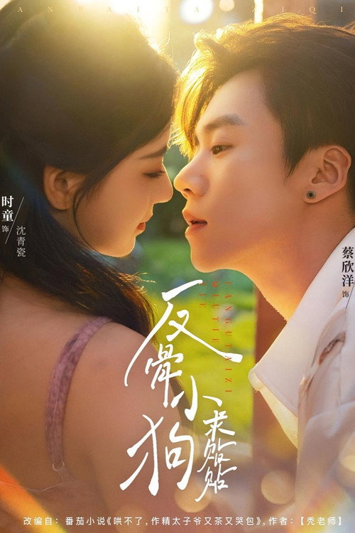 Fan Gu Xiao Gou Qiu Tie Tie poster