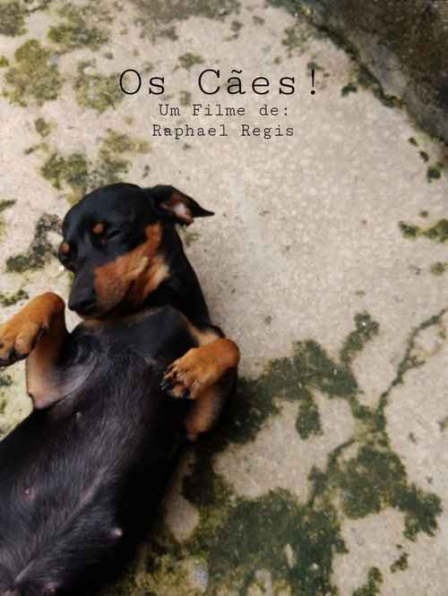 Os Cães! poster
