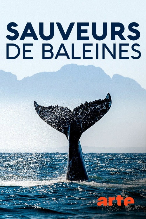 Island Heroes: The Whale Rescuers of Campobello Island poster