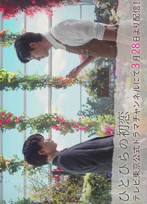 Hitohira's First Love poster