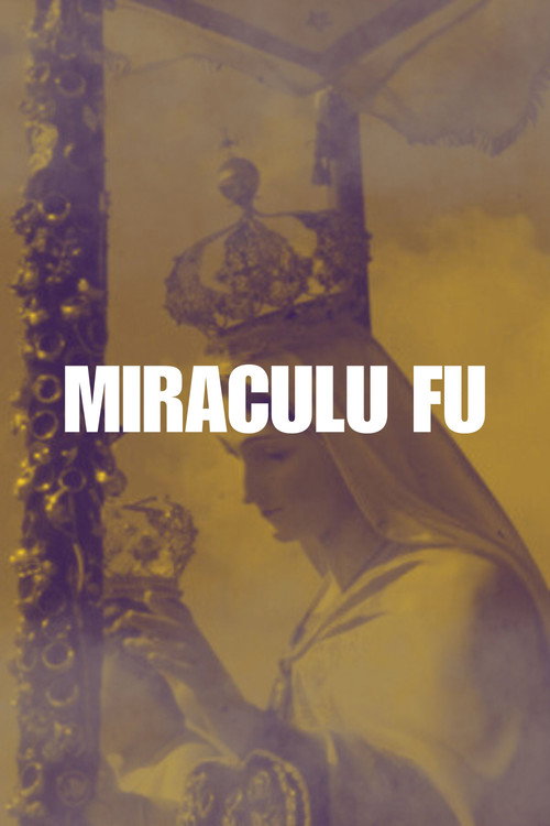 Miraculu Fu poster
