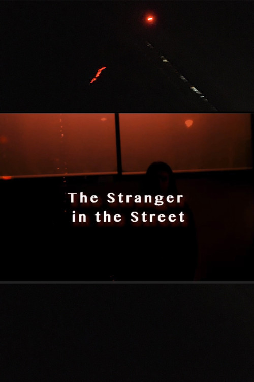 The Stranger In The Street poster