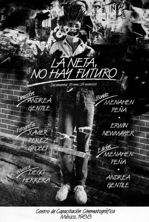 In Fact, There is not Future poster