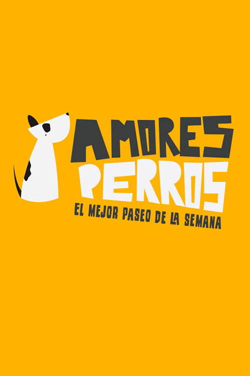 Amores perros poster