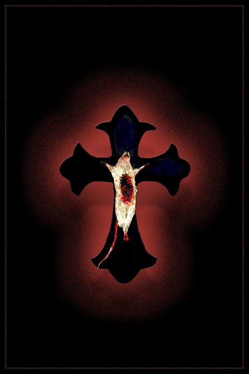 Fungi poster