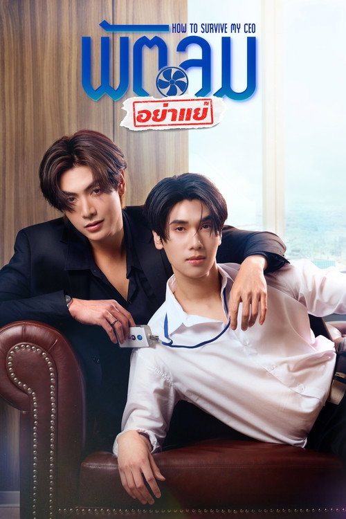 How to Survive My CEO poster