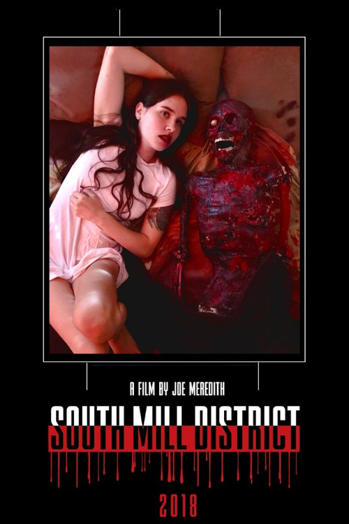 South Mill District poster