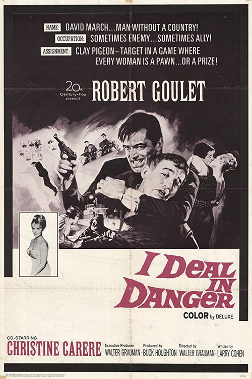 I Deal in Danger poster