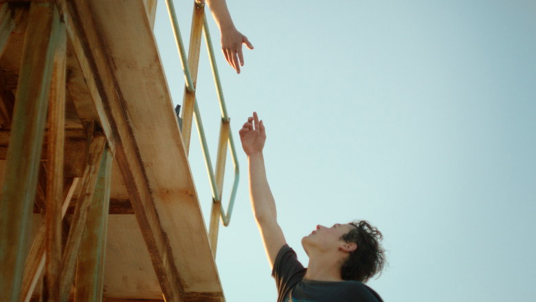 Beautiful Alexander still 2