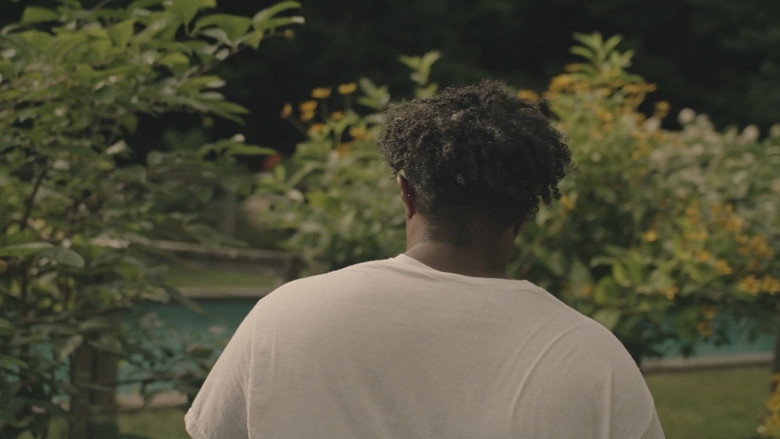 Summer Solstice still 1