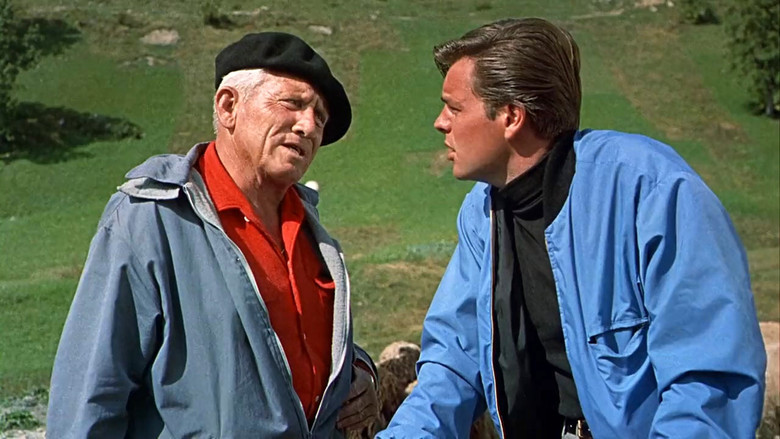 The Mountain still 7