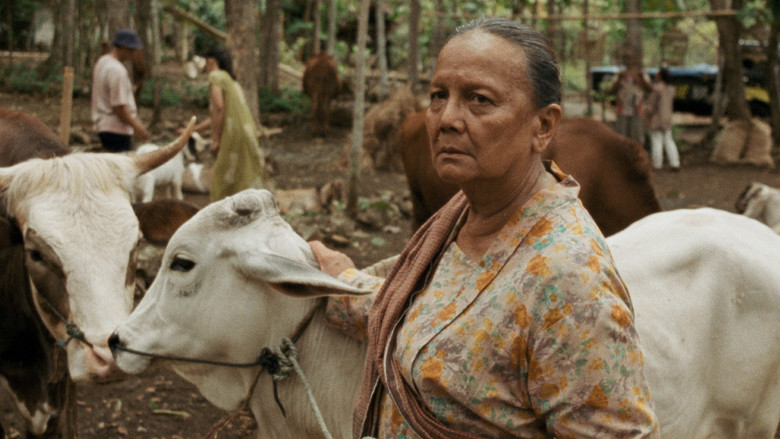 Ibuku still 3