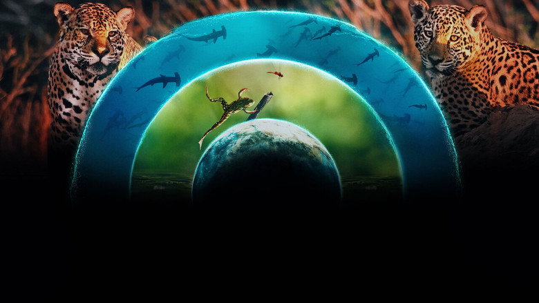 Our Living World still 4