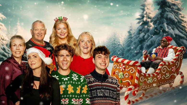 24 stjerners julekalender still 2