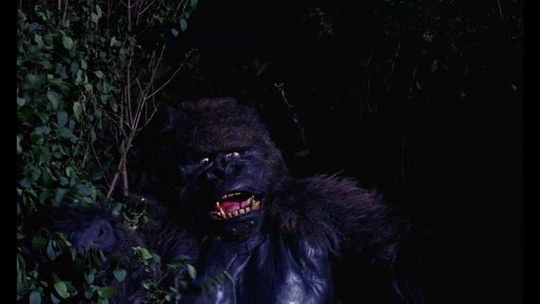 Konga still 4