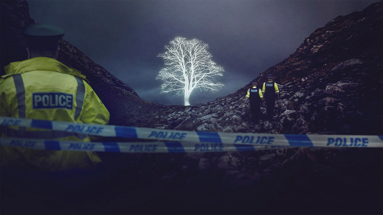 The Sycamore Gap Mystery still 1