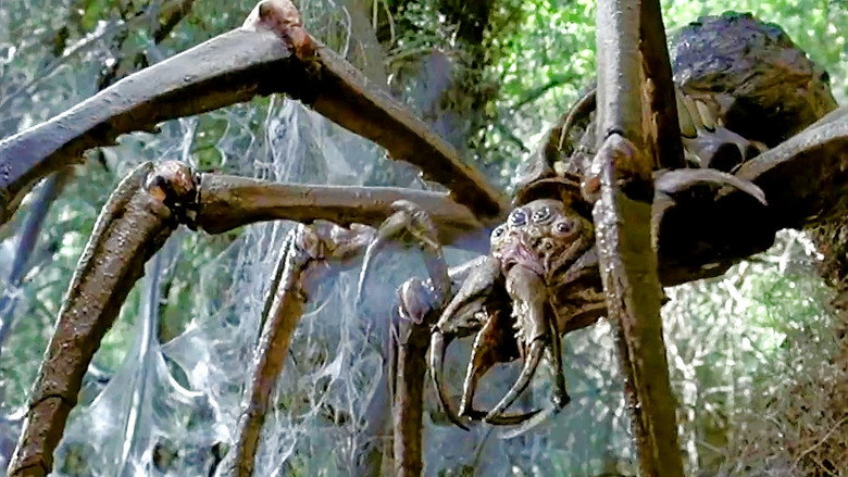 Arachnid still 3