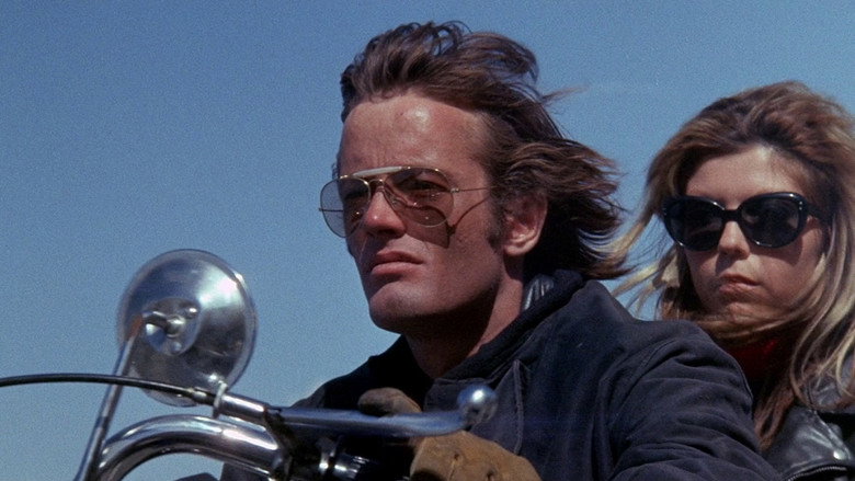 The Wild Angels still 5
