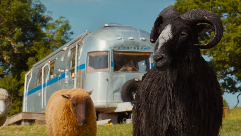 The Sheep Detectives still 6