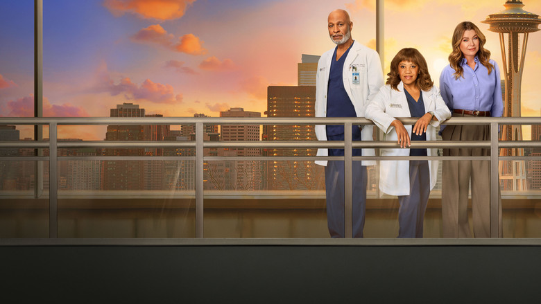Grey's Anatomy still 6