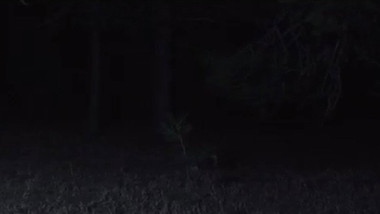 Submission still 2