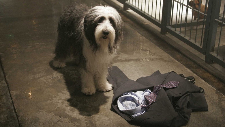 The Shaggy Dog still 4