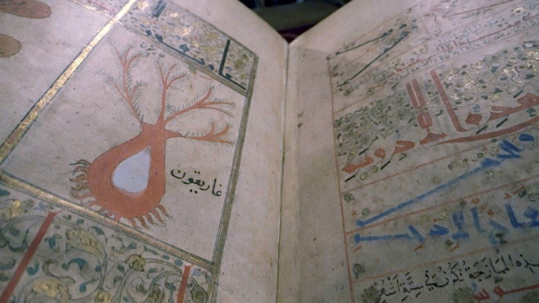 Forgotten Heritage of Arab Medicine still 4