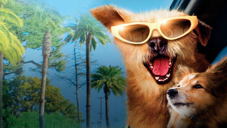 Dr. Dolittle: Million Dollar Mutts still 5