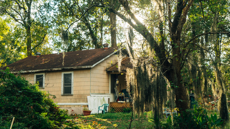 Mossville: When Great Trees Fall still 1