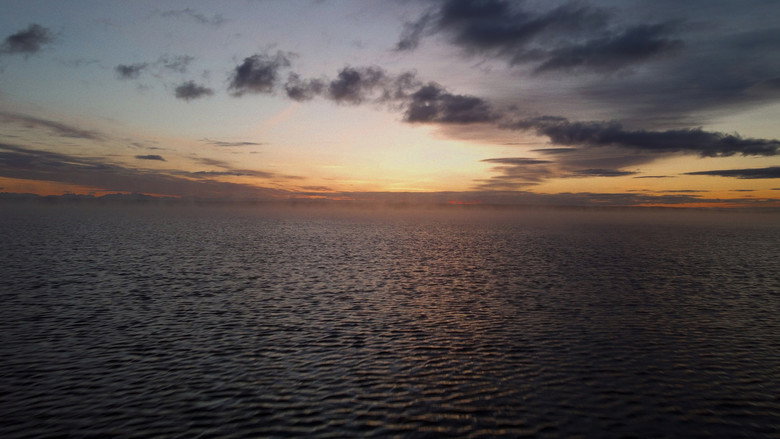 Ocean's Arrival still 7