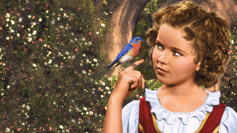 The Blue Bird still 6