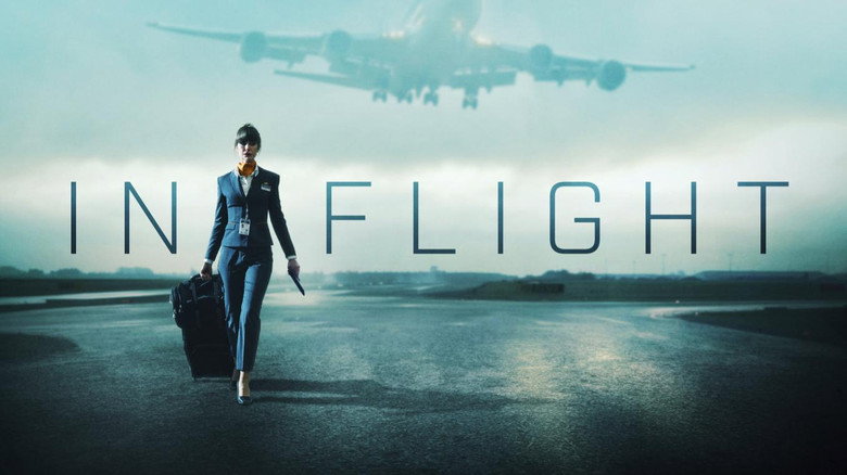In Flight still 4