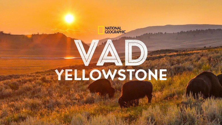 Wild Yellowstone still 1