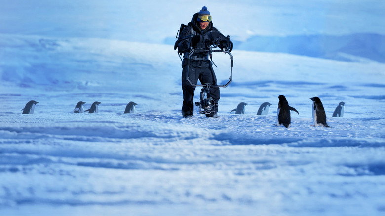 Penguins: Life on the Edge still 3
