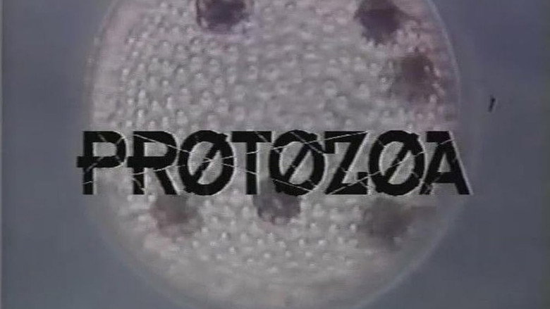 Protozoa still 1