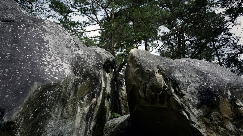 Aventure à Bleau still 2