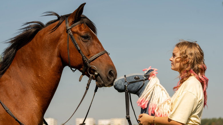 Horse on a Stick still 1