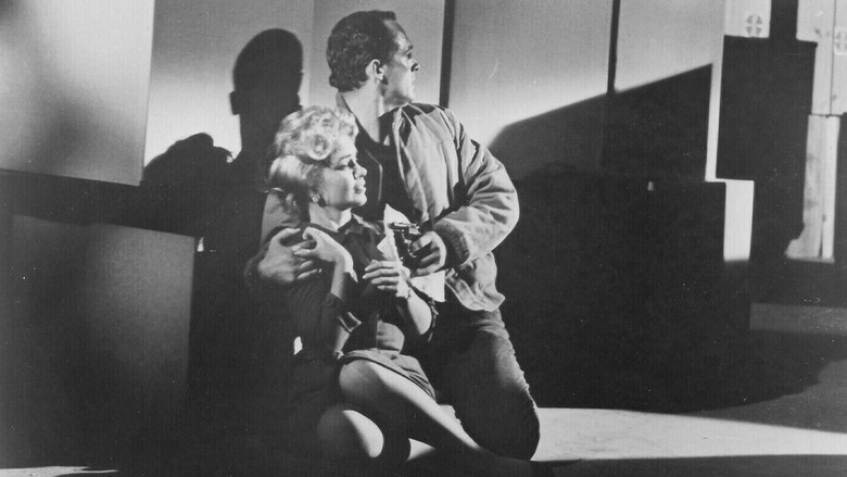 The Cat Burglar still 1