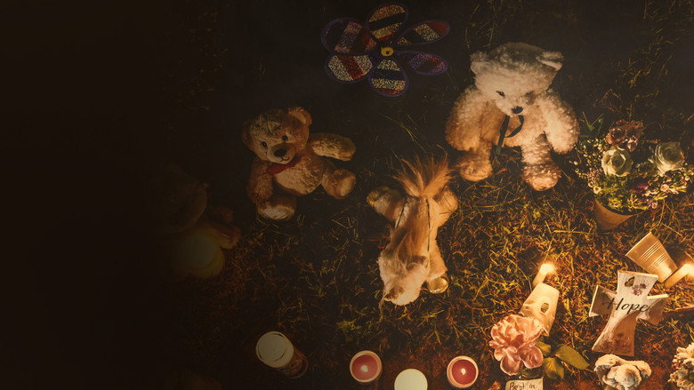 The Murder of Gabby Petito: What Really Happened still 1