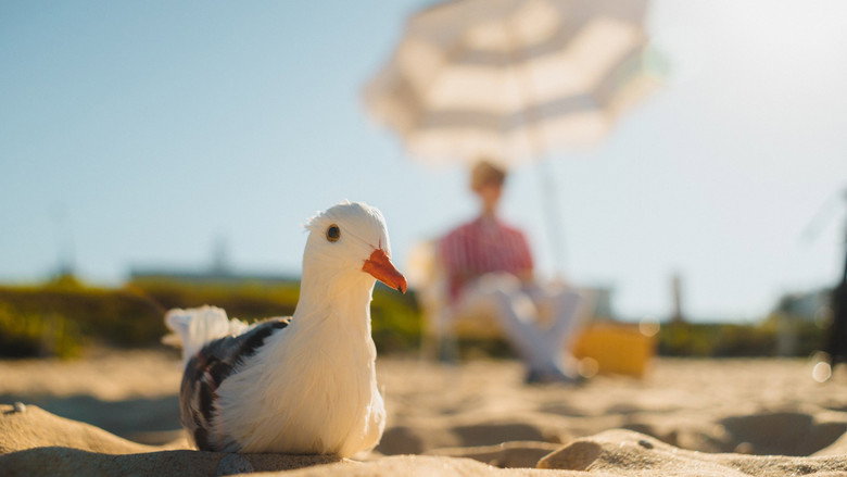 Seagulls & Stripes still 1