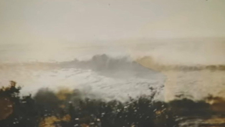 Valdivia 1960, El Gran Terremoto still 4