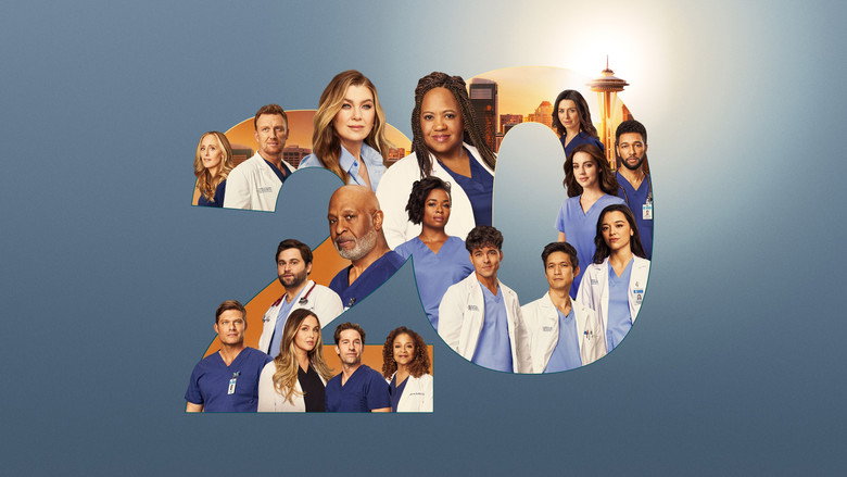 Grey's Anatomy still 4
